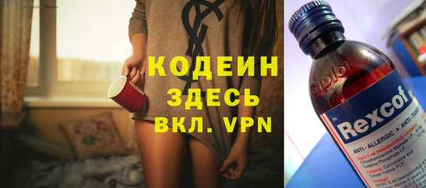 прущие крисы Инта