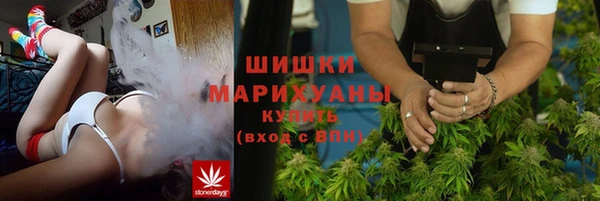 2c-b Инсар