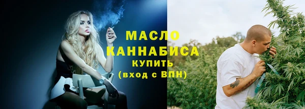 2c-b Инсар