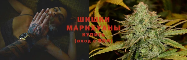 2c-b Инсар
