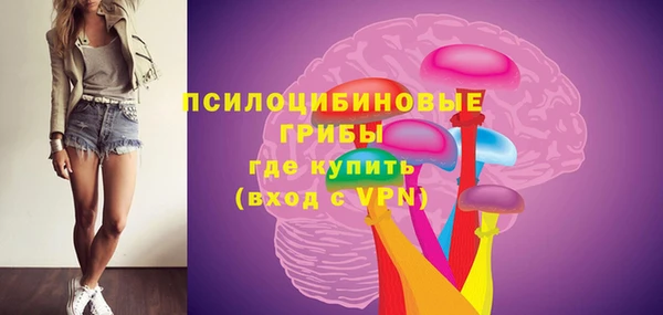 прущие крисы Инта