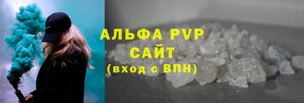 2c-b Инсар