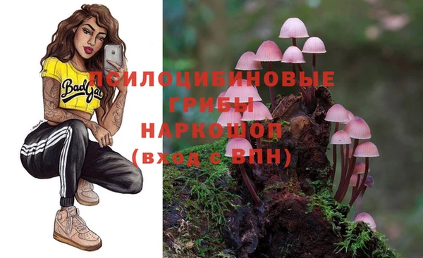 прущие крисы Инта