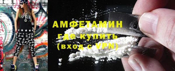 2c-b Инсар