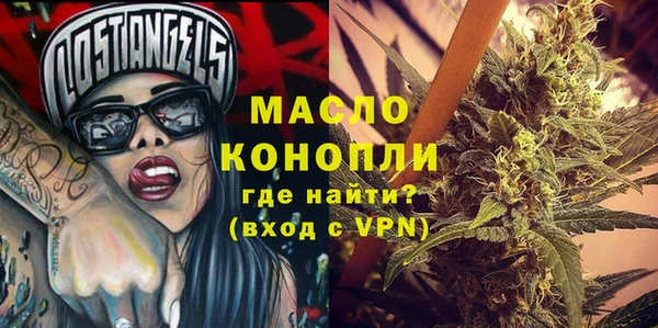 2c-b Инсар