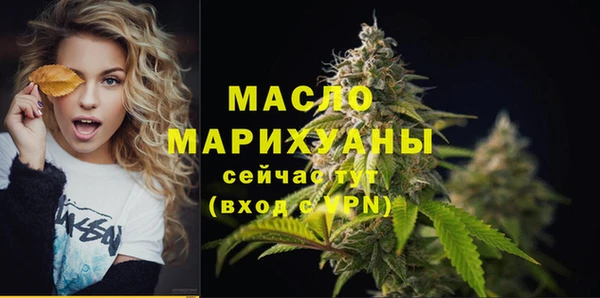 2c-b Инсар