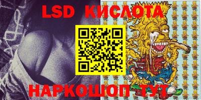 индика Бердск