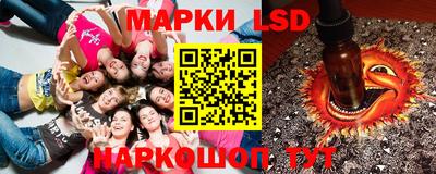 индика Бердск