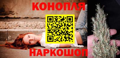 индика Бердск