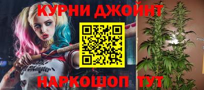 индика Бердск