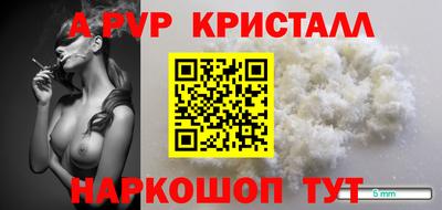 индика Бердск