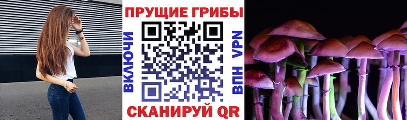цены наркотик  ОМГ ОМГ ссылка  Псилоцибиновые грибы Magic Shrooms  Батайск 