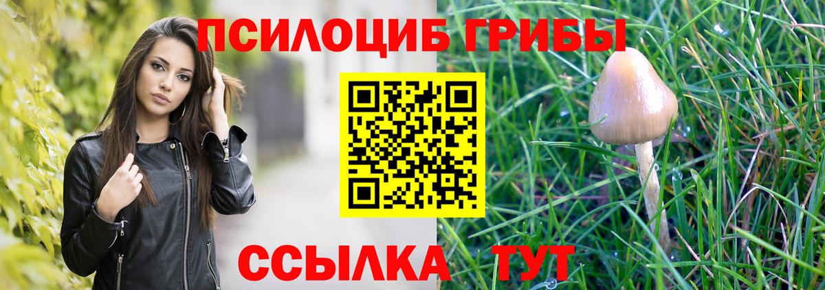 Батайск  Псилоцибиновые грибы Magic Shrooms  где купить наркотик  Вход с VPN 