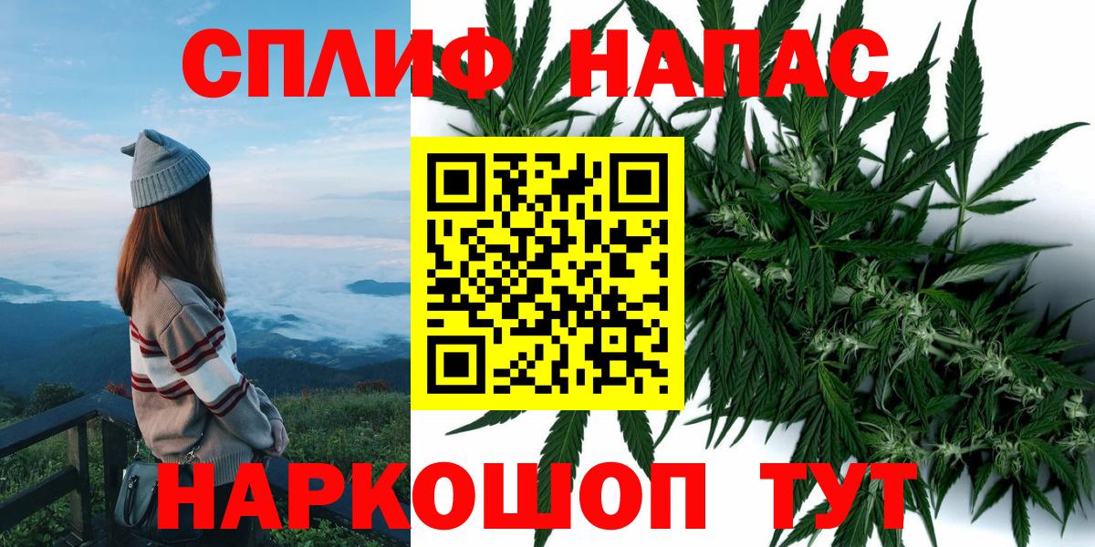 МАРИХУАНА сатива Батайск